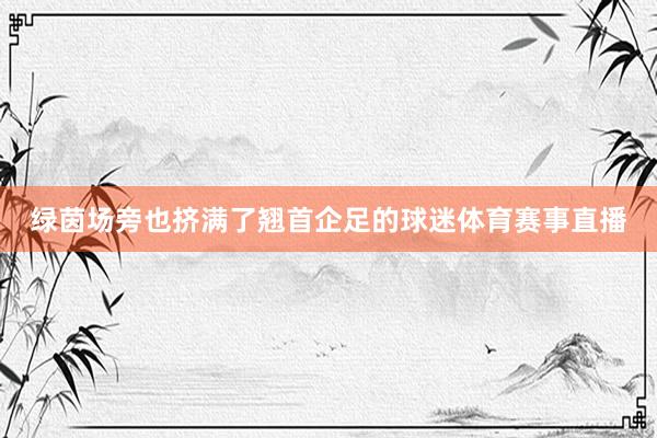 绿茵场旁也挤满了翘首企足的球迷体育赛事直播