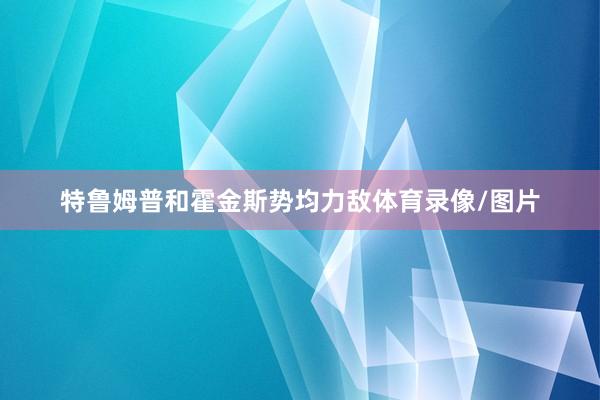 特鲁姆普和霍金斯势均力敌体育录像/图片