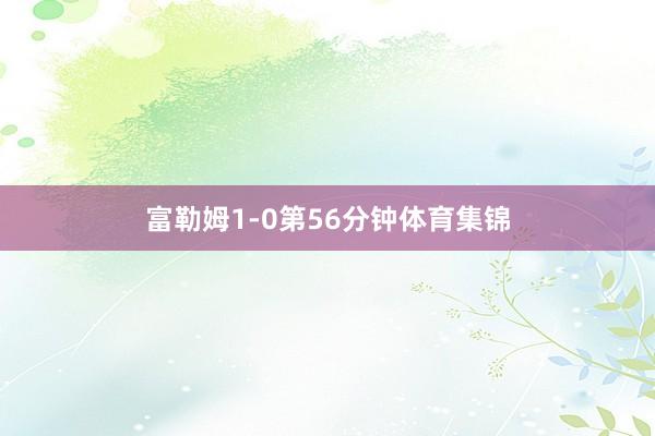 富勒姆1-0第56分钟体育集锦