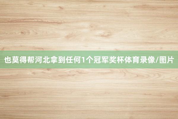 也莫得帮河北拿到任何1个冠军奖杯体育录像/图片