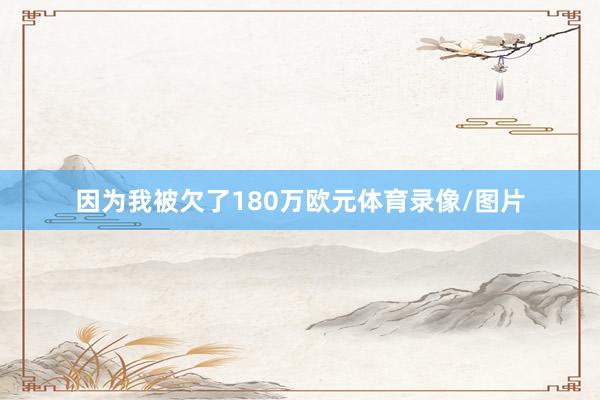因为我被欠了180万欧元体育录像/图片