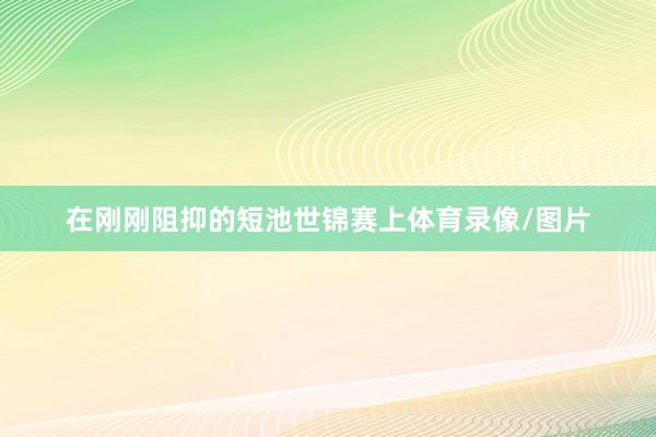 在刚刚阻抑的短池世锦赛上体育录像/图片