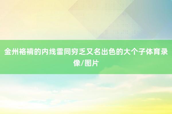 金州袼褙的内线雷同穷乏又名出色的大个子体育录像/图片