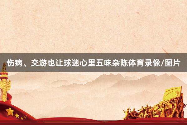 伤病、交游也让球迷心里五味杂陈体育录像/图片