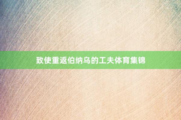 致使重返伯纳乌的工夫体育集锦