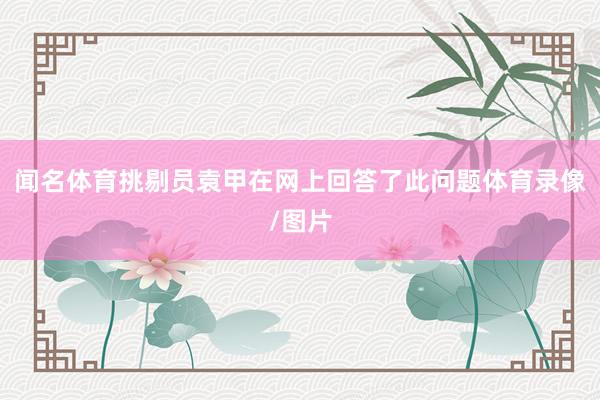 闻名体育挑剔员袁甲在网上回答了此问题体育录像/图片