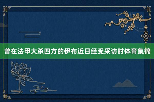 曾在法甲大杀四方的伊布近日经受采访时体育集锦