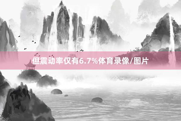 但震动率仅有6.7%体育录像/图片