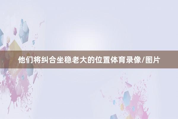 他们将纠合坐稳老大的位置体育录像/图片