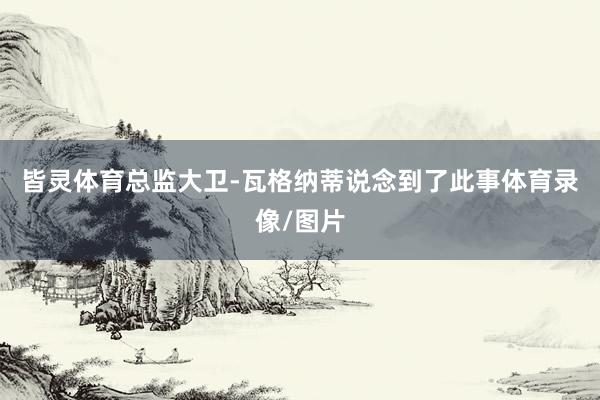 皆灵体育总监大卫-瓦格纳蒂说念到了此事体育录像/图片