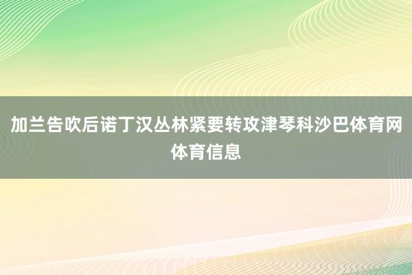 加兰告吹后诺丁汉丛林紧要转攻津琴科沙巴体育网体育信息