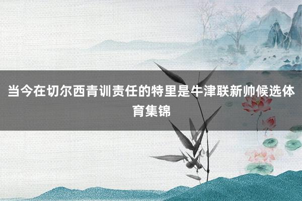 当今在切尔西青训责任的特里是牛津联新帅候选体育集锦