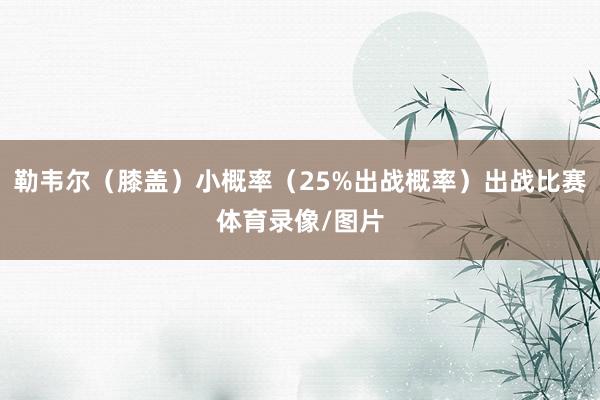 勒韦尔（膝盖）小概率（25%出战概率）出战比赛体育录像/图片