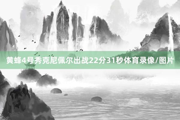 黄蜂4号秀克尼佩尔出战22分31秒体育录像/图片