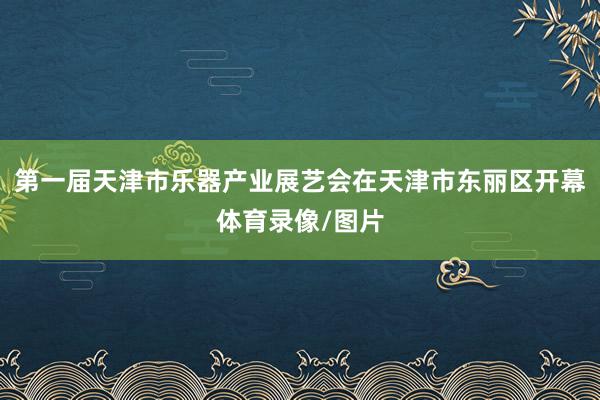 第一届天津市乐器产业展艺会在天津市东丽区开幕体育录像/图片
