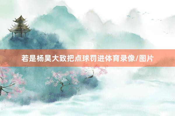 若是杨昊大致把点球罚进体育录像/图片