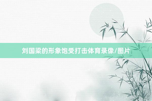 刘国梁的形象饱受打击体育录像/图片