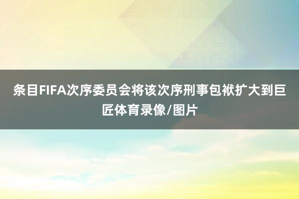 条目FIFA次序委员会将该次序刑事包袱扩大到巨匠体育录像/图片