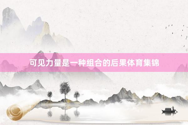 可见力量是一种组合的后果体育集锦