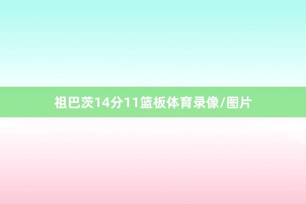 祖巴茨14分11篮板体育录像/图片