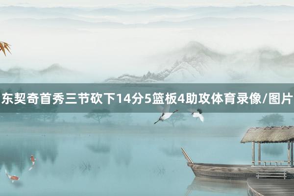东契奇首秀三节砍下14分5篮板4助攻体育录像/图片