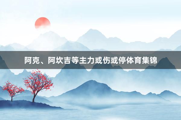 阿克、阿坎吉等主力或伤或停体育集锦