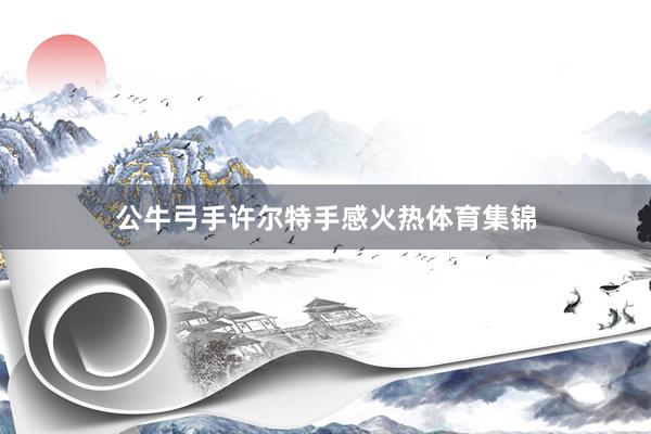 公牛弓手许尔特手感火热体育集锦