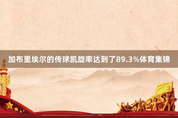 加布里埃尔的传球凯旋率达到了89.3%体育集锦
