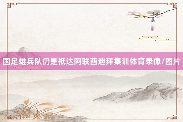 国足雄兵队仍是抵达阿联酋迪拜集训体育录像/图片