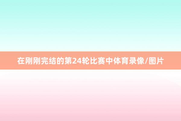在刚刚完结的第24轮比赛中体育录像/图片