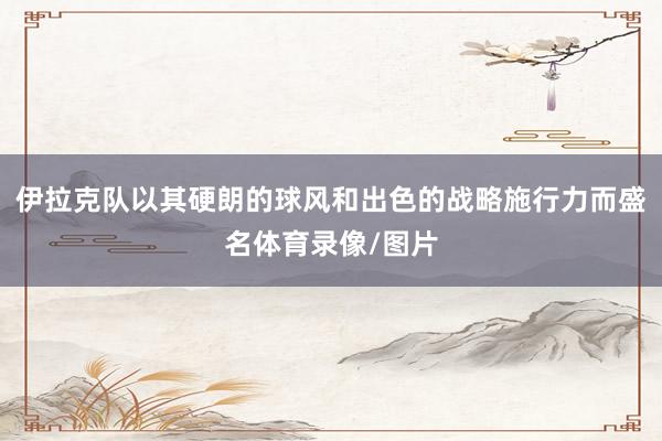 伊拉克队以其硬朗的球风和出色的战略施行力而盛名体育录像/图片