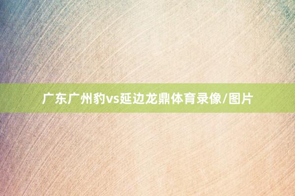 广东广州豹vs延边龙鼎体育录像/图片