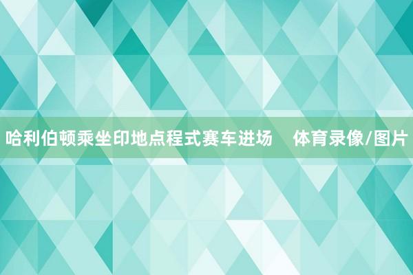 哈利伯顿乘坐印地点程式赛车进场    体育录像/图片