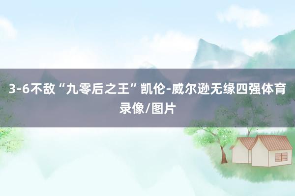 3-6不敌“九零后之王”凯伦-威尔逊无缘四强体育录像/图片