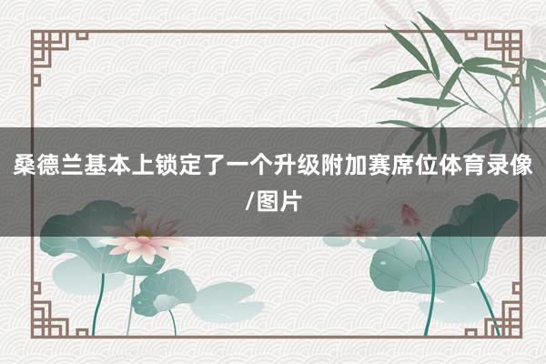 桑德兰基本上锁定了一个升级附加赛席位体育录像/图片