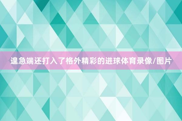 遑急端还打入了格外精彩的进球体育录像/图片