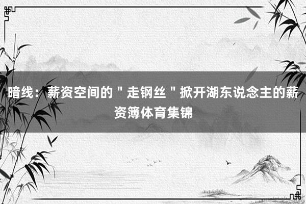 暗线：薪资空间的＂走钢丝＂掀开湖东说念主的薪资簿体育集锦