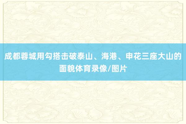 成都蓉城用勾搭击破泰山、海港、申花三座大山的面貌体育录像/图片