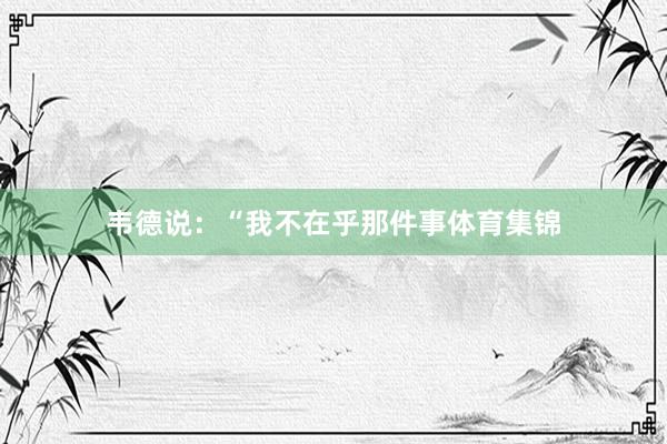 韦德说：“我不在乎那件事体育集锦