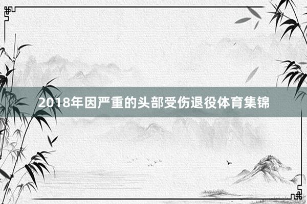 2018年因严重的头部受伤退役体育集锦