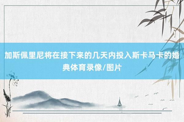 加斯佩里尼将在接下来的几天内投入斯卡马卡的婚典体育录像/图片