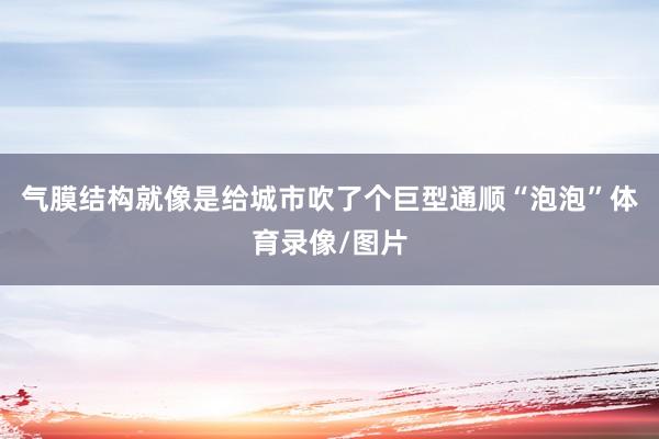 气膜结构就像是给城市吹了个巨型通顺“泡泡”体育录像/图片