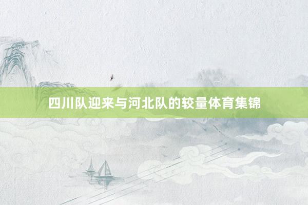 四川队迎来与河北队的较量体育集锦