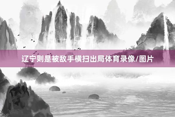辽宁则是被敌手横扫出局体育录像/图片