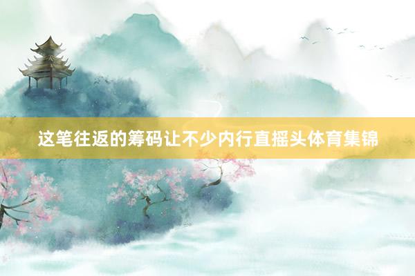 这笔往返的筹码让不少内行直摇头体育集锦