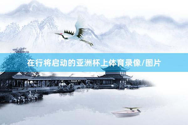 在行将启动的亚洲杯上体育录像/图片