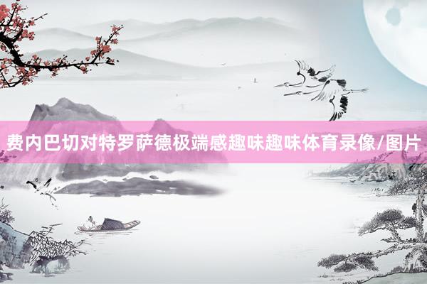 费内巴切对特罗萨德极端感趣味趣味体育录像/图片