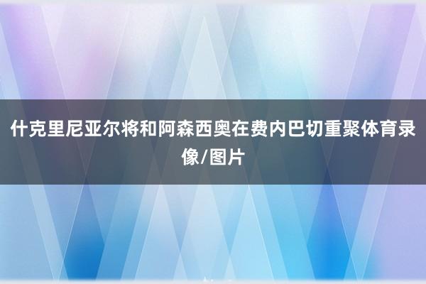 什克里尼亚尔将和阿森西奥在费内巴切重聚体育录像/图片