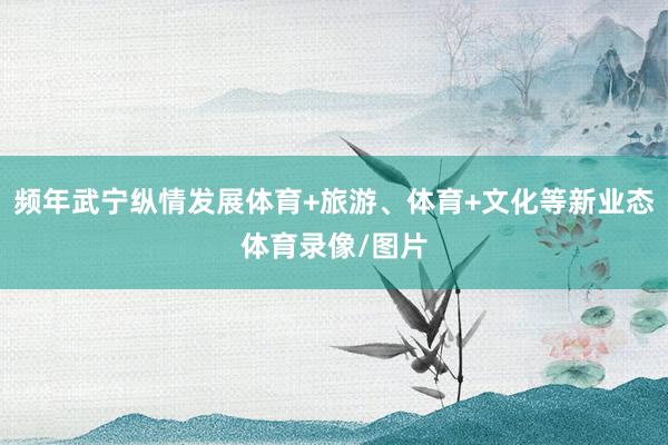 频年武宁纵情发展体育+旅游、体育+文化等新业态体育录像/图片