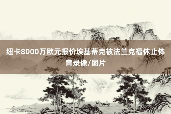 纽卡8000万欧元报价埃基蒂克被法兰克福休止体育录像/图片